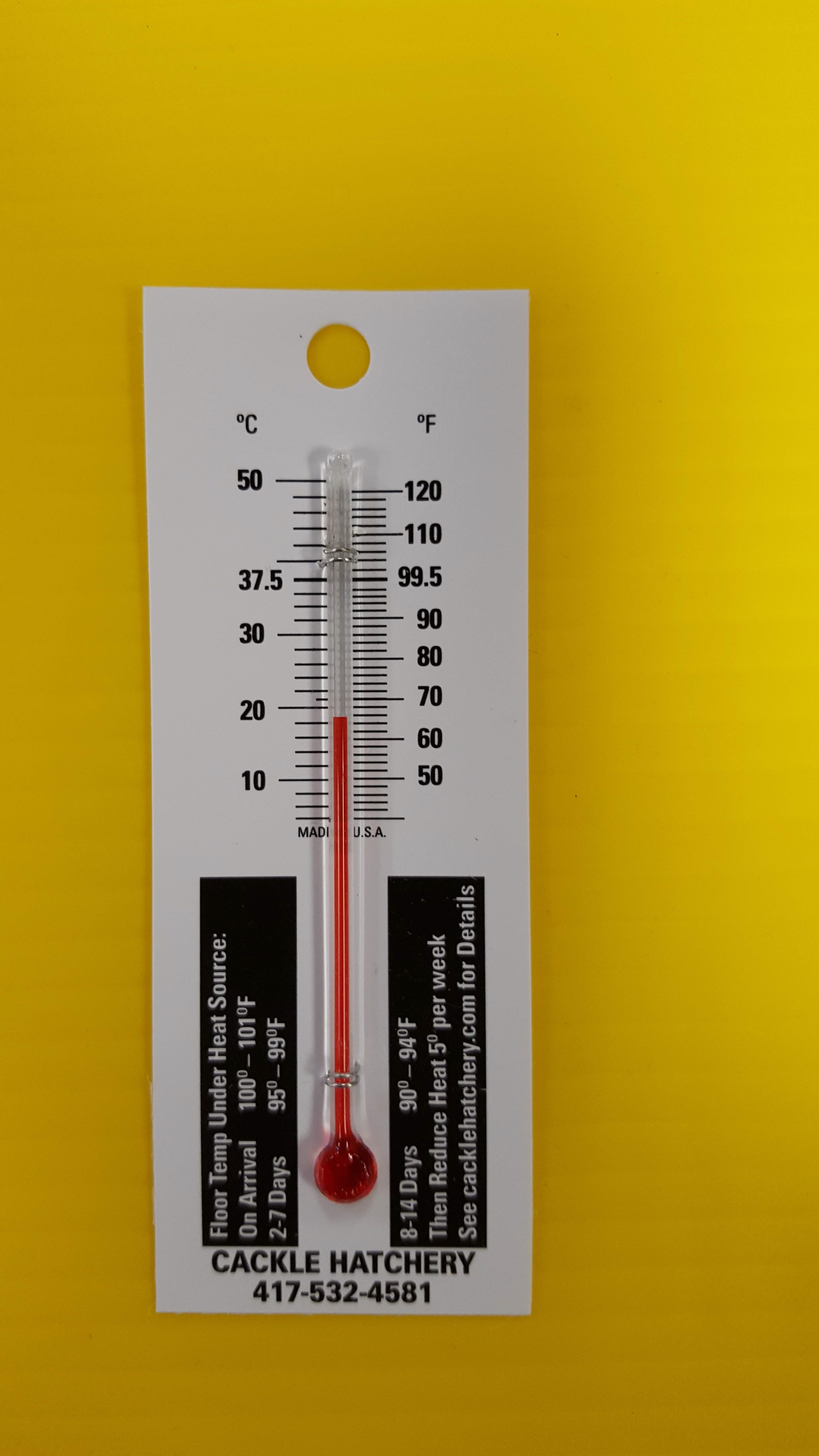 Baby Chickens Small Thermometer Brooder Equipment Cackle Hatchery
