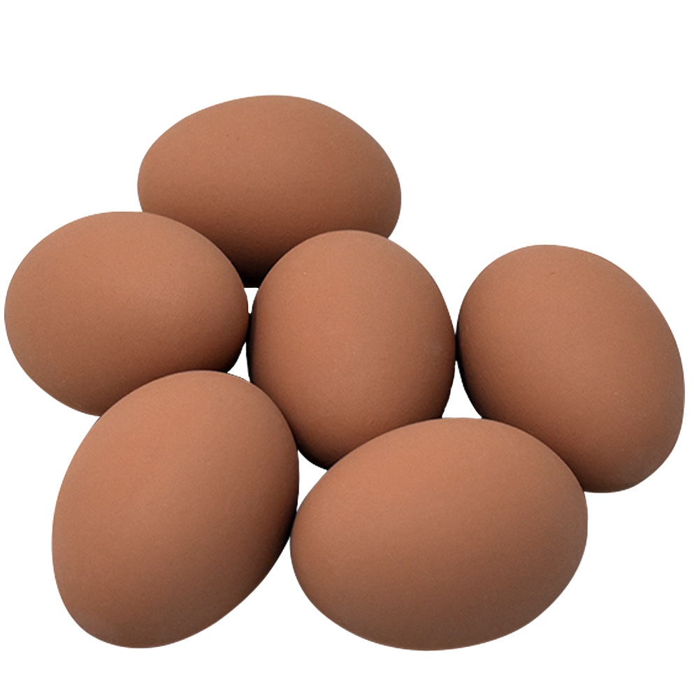 Ceramic Nest Eggs 6 Pack Cackle Hatchery