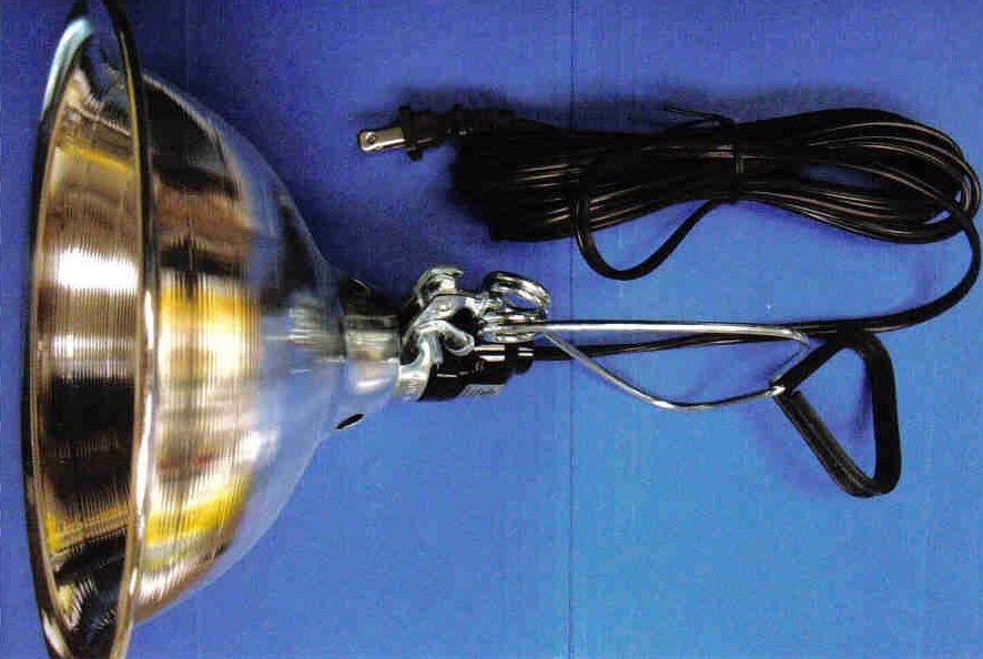 Chicken Brooder Lamp HeavyDuty Cackle Hatchery