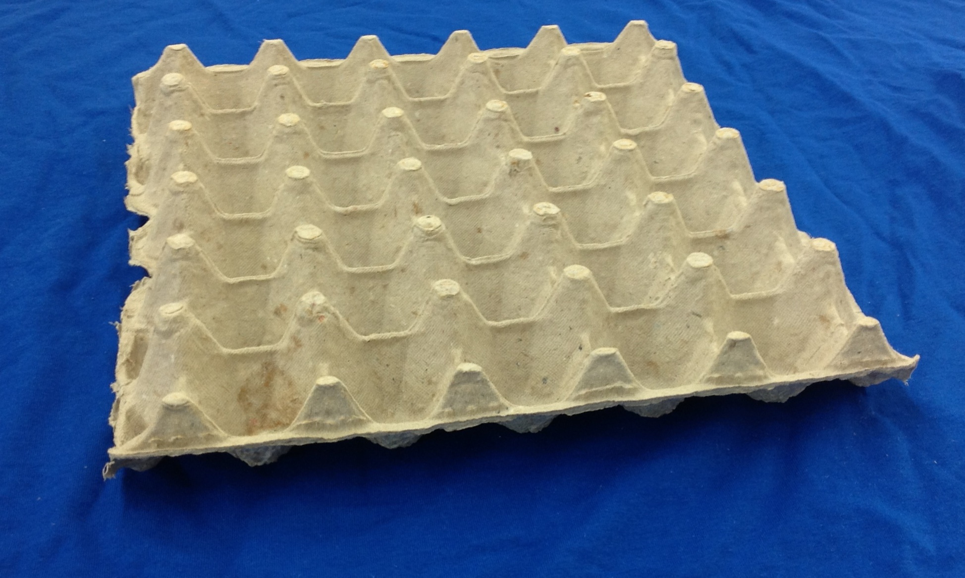 Egg flat 14 count cackle hatchery