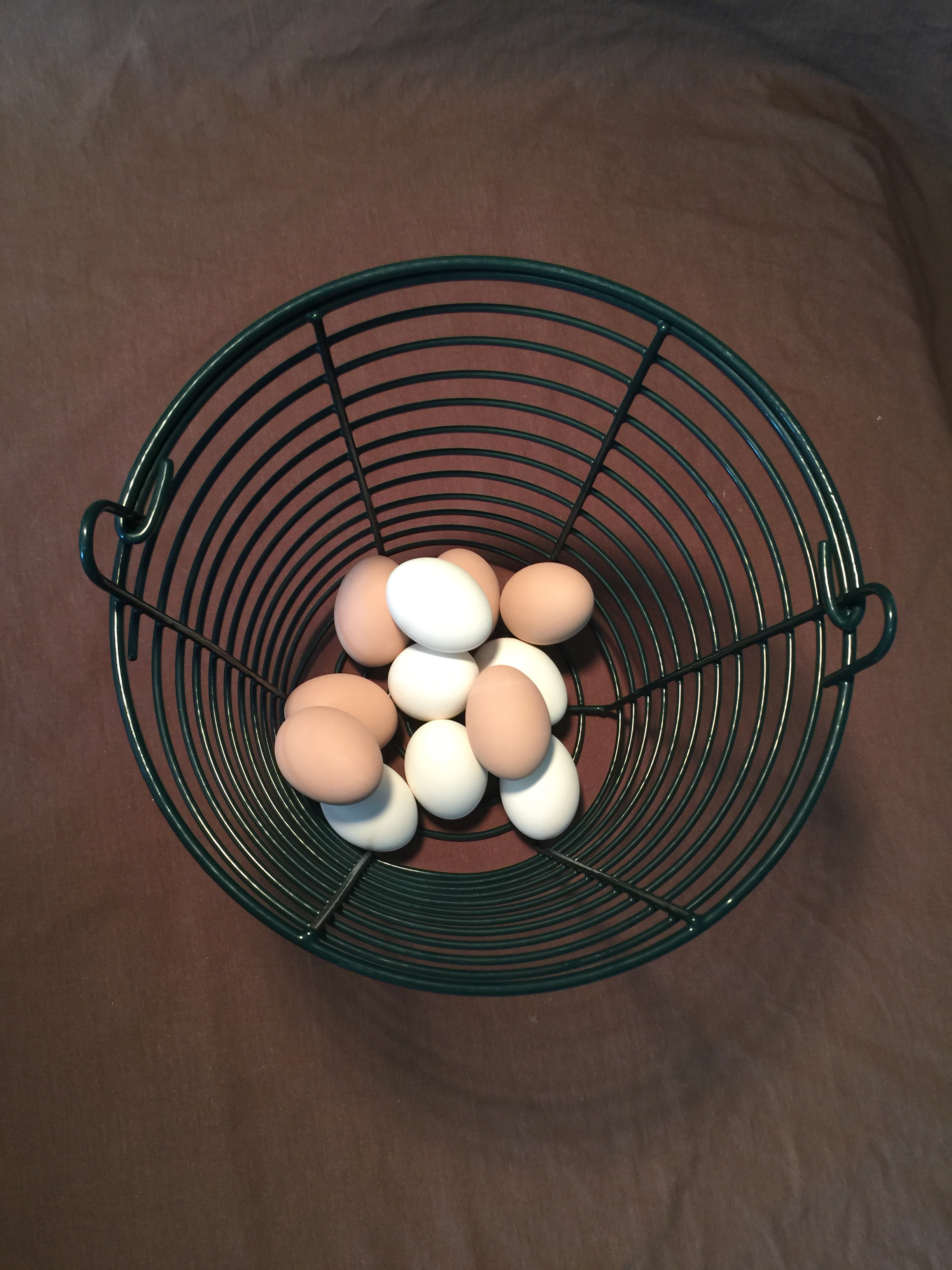 Green Chicken Egg Basket Cackle Hatchery
