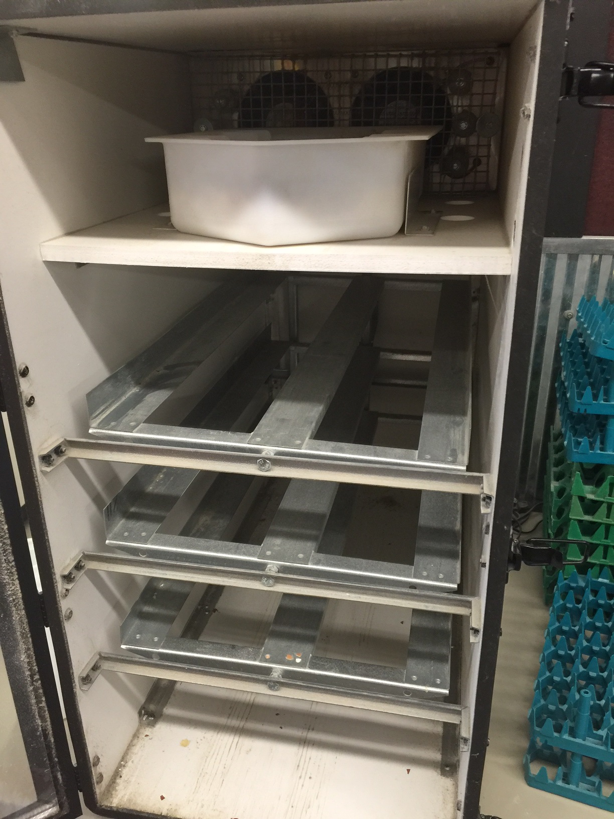 Sportsman Incubator Cackle Hatchery