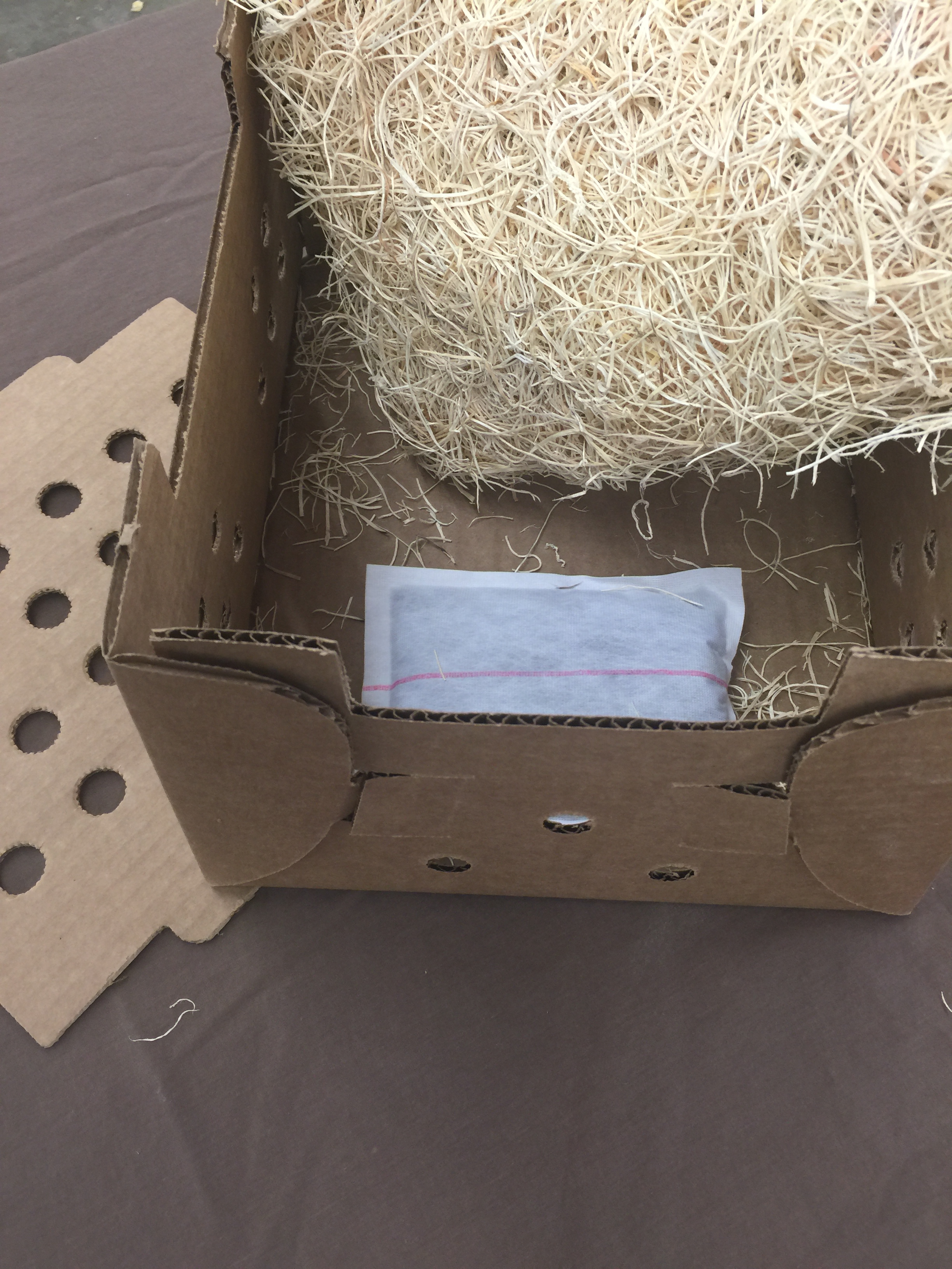 Heat Pads for Chickens 12 Pack Cackle Hatchery