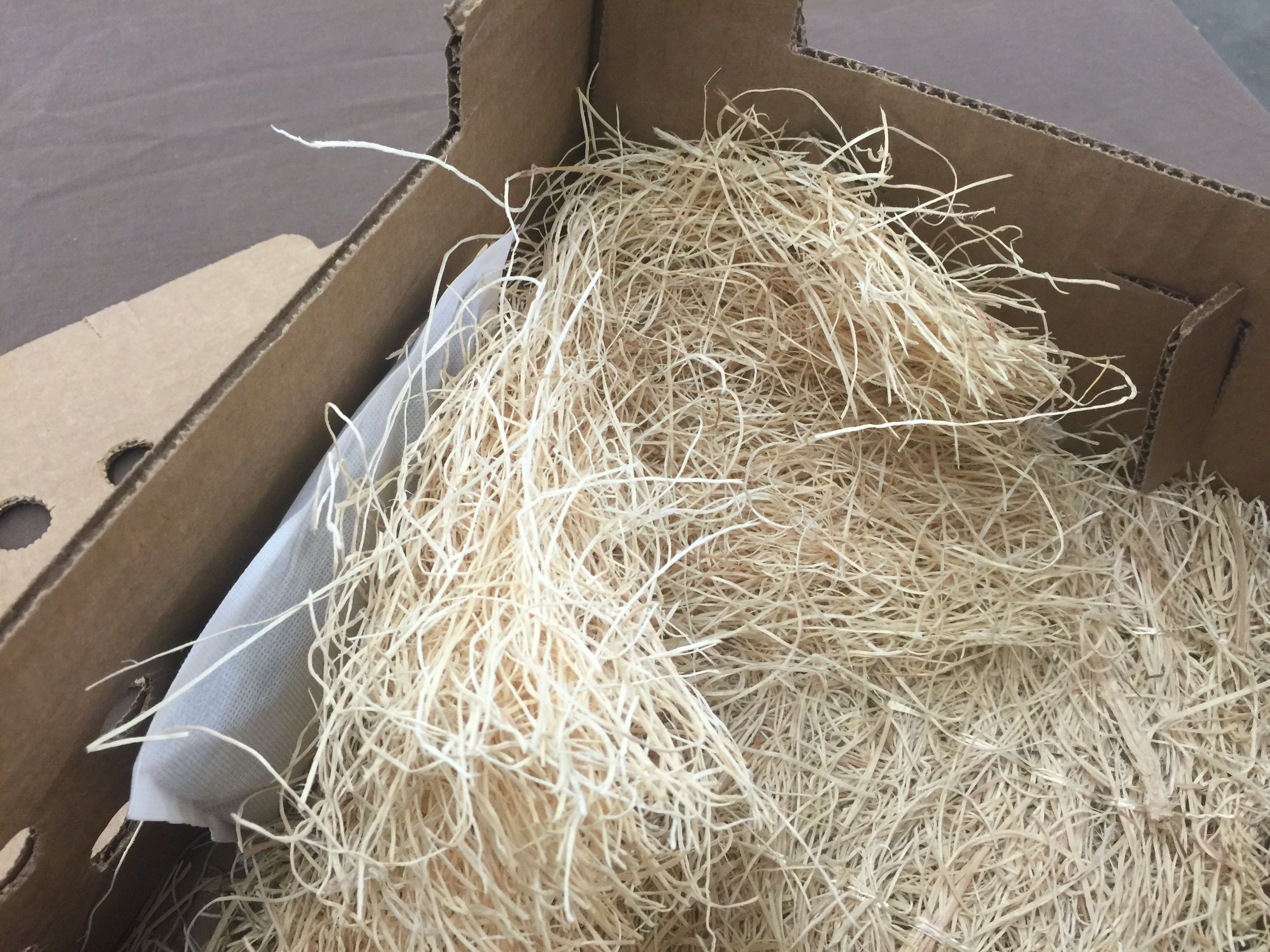 Heat Pads for Chickens 12 Pack Cackle Hatchery