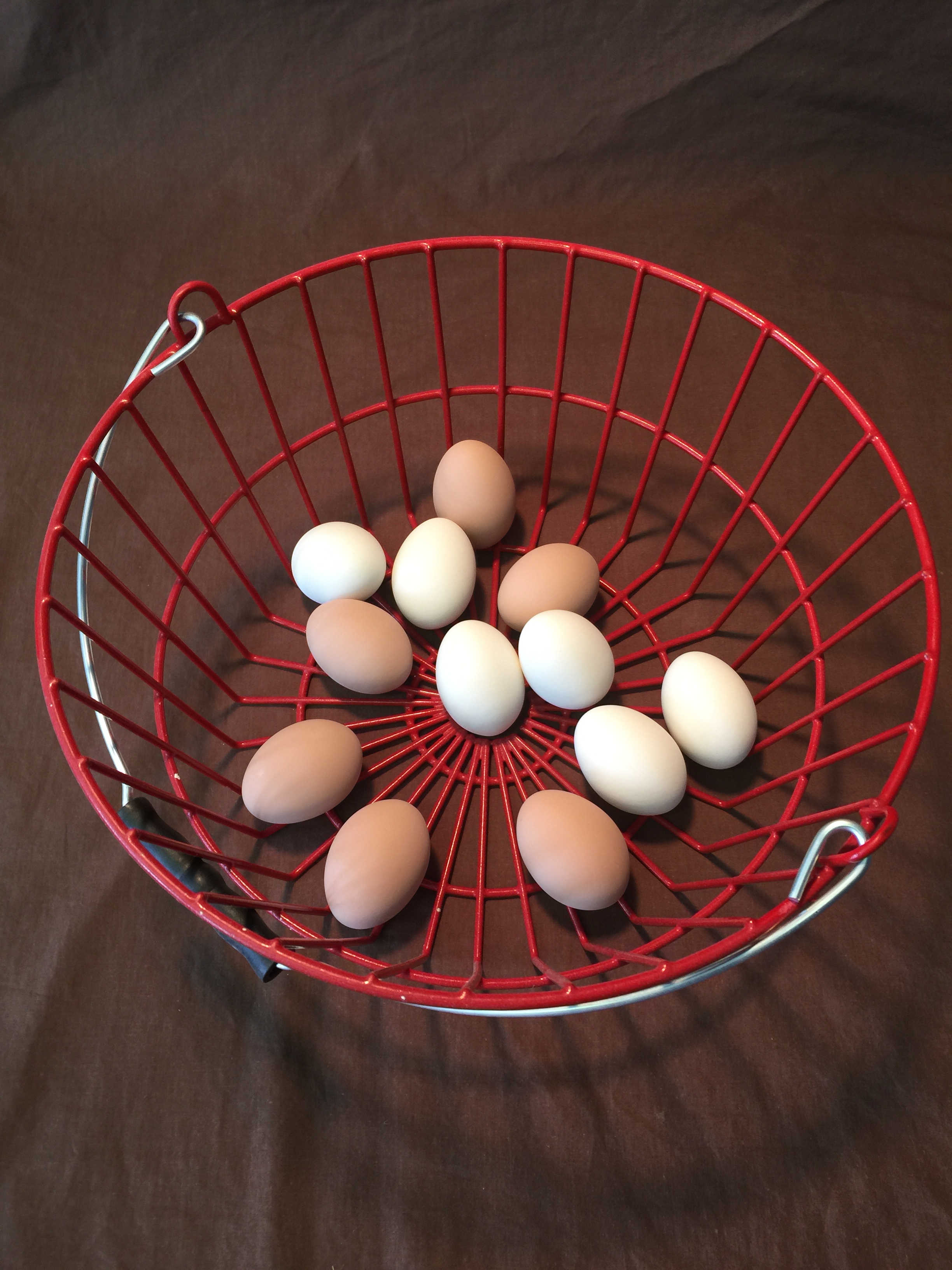 Red Egg Basket w/ 12 Ceramic Eggs Cackle Hatchery