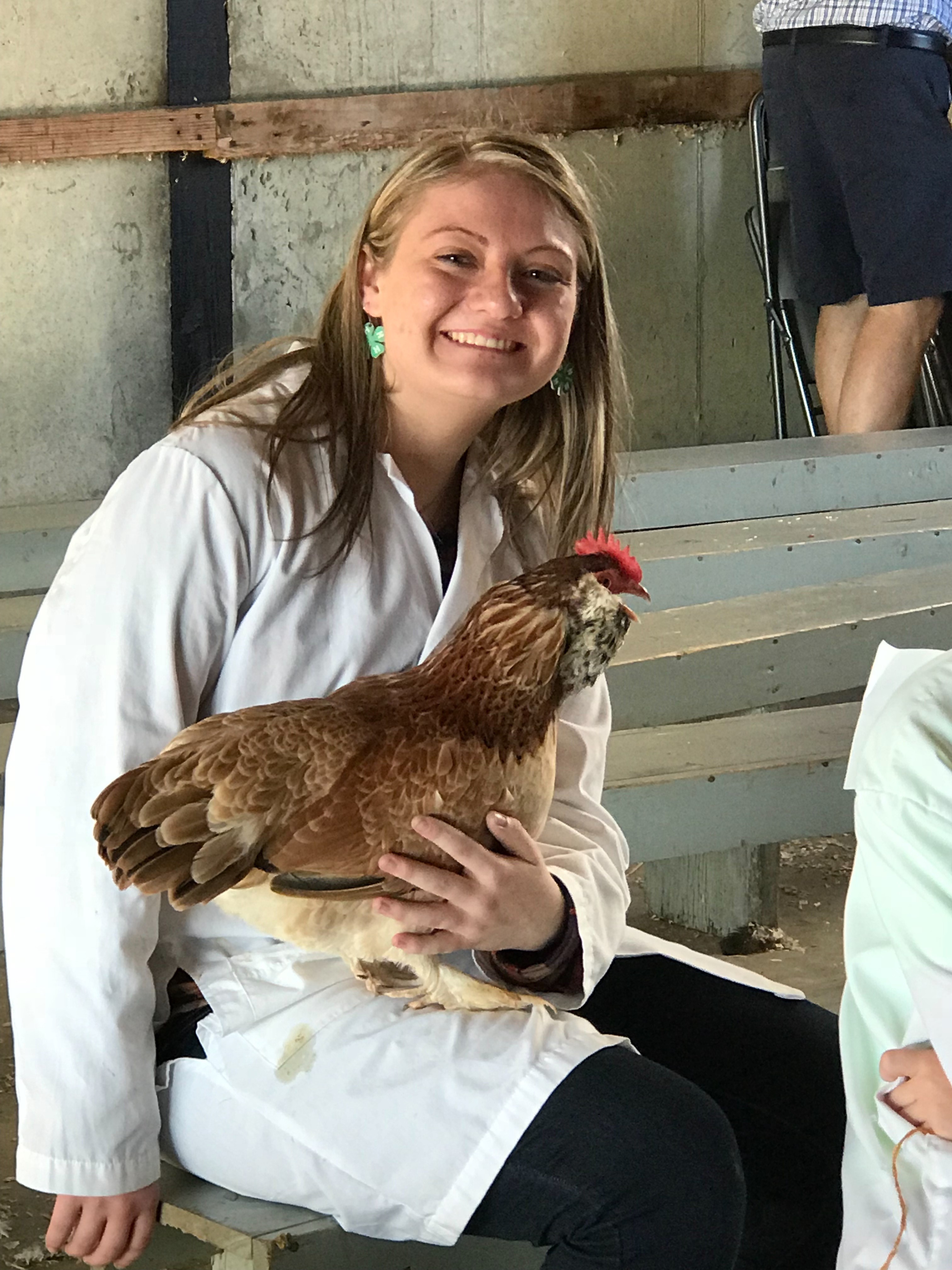 Salmon Faverolle Chickens Baby Chicks for Sale Cackle Hatchery