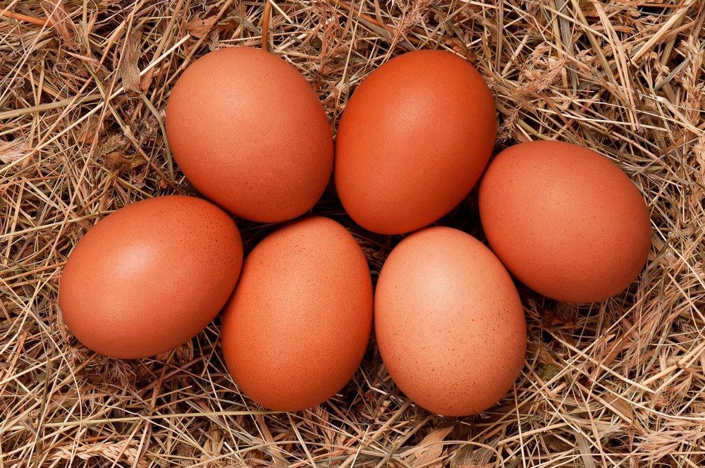 french black marans dark