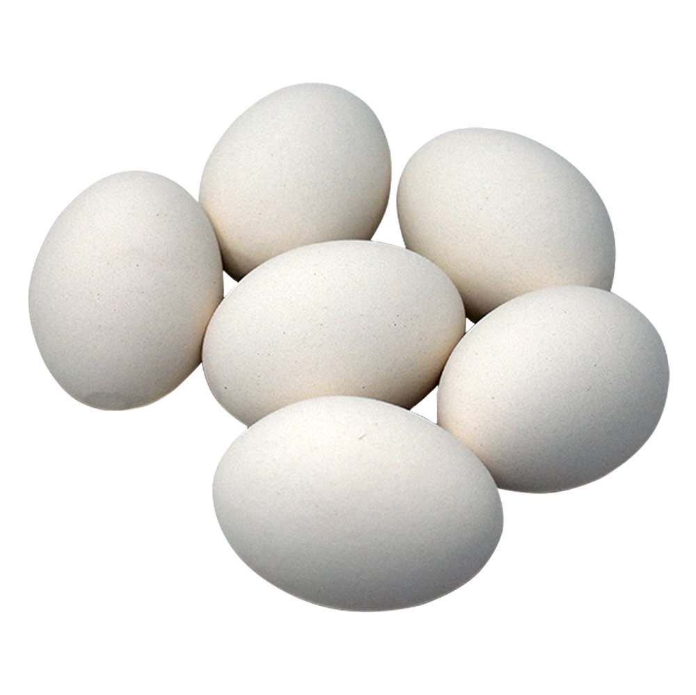 Ceramic Nest Eggs 6 Pack Cackle Hatchery