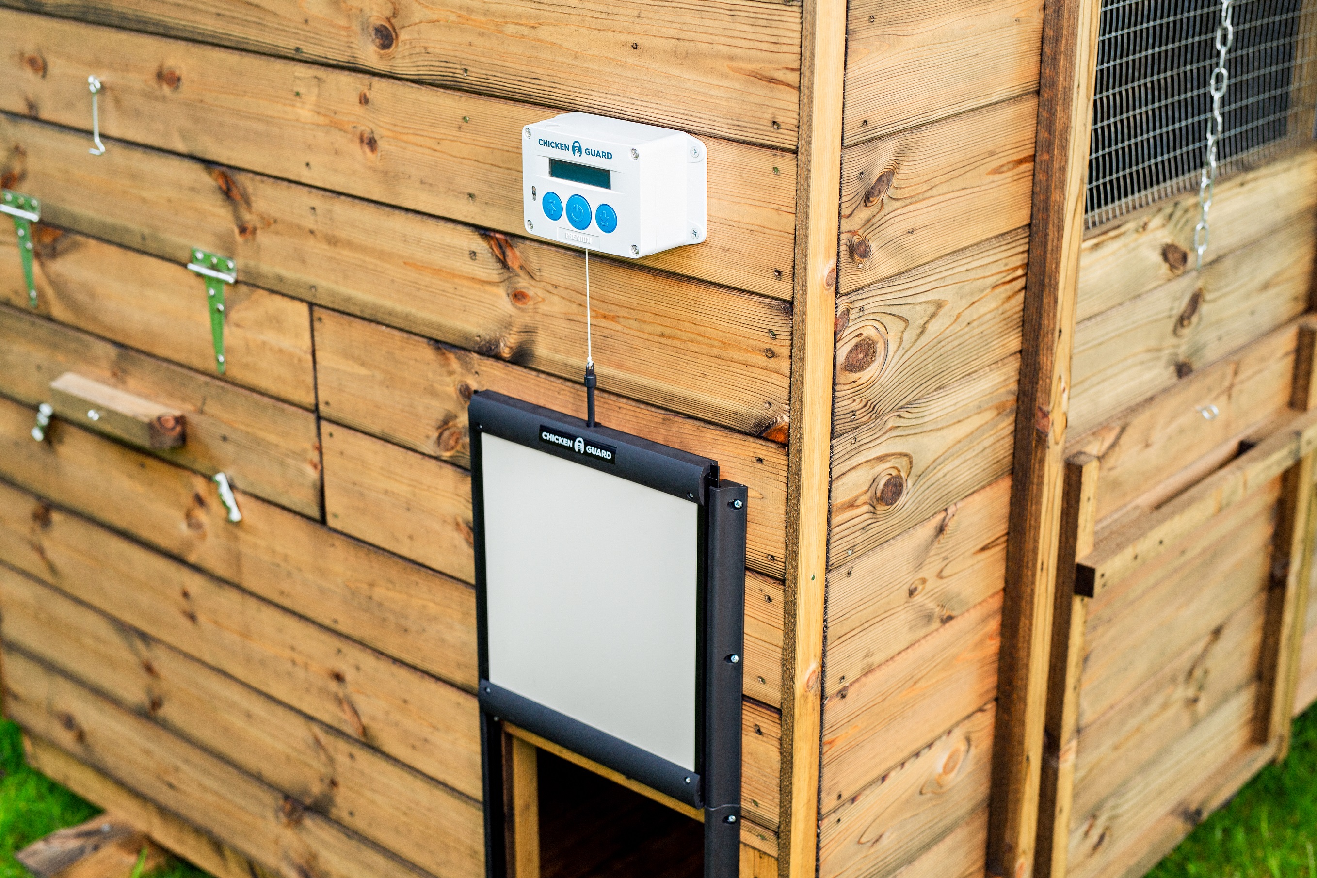 Chicken Guard Chicken Guard