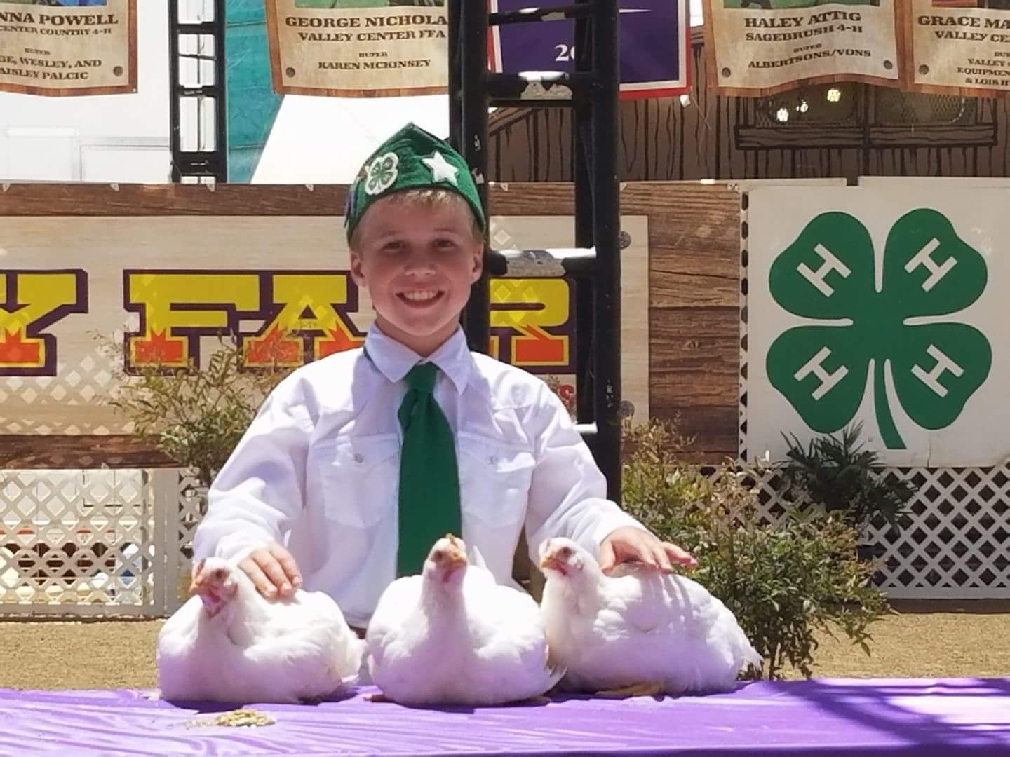 Jumbo Cornish Cross Broiler Meat Chicken For Sale Cackle Hatchery