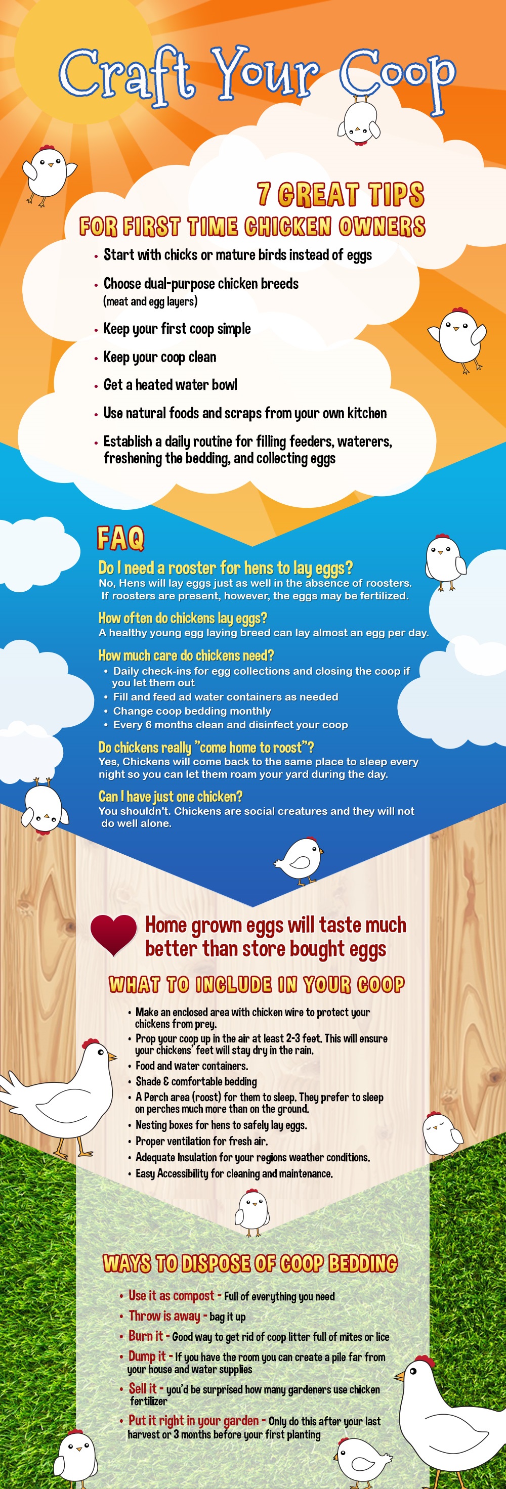 Pet Chickens Raising Chickens in your Backyard