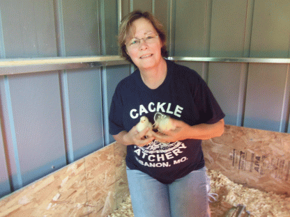 Cornish Cross Chickens, Photo Credit to Crane's Chicken Ranch, Janice Crane