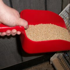 Red Plastic Feed Scoop