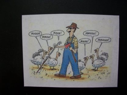 Turkey Humor