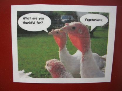 A Little Turkey Humor