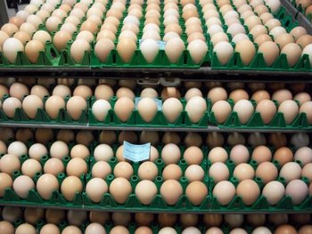 New Hampshire Eggs