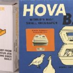 2370 Circulated Air Electronic Thermostat Hova-Bator Incubator/1611 Egg Turner Combo