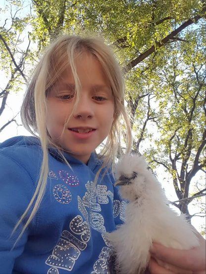 White Silkie Bantam