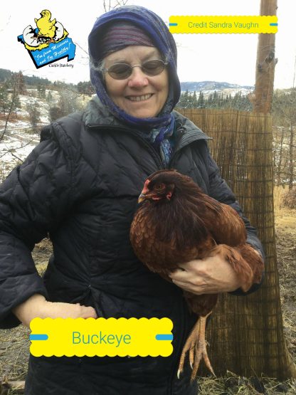 Buckeye Chicken