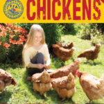 How to Raise Chickens by Christine Heinrichs