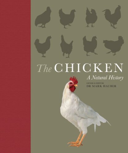 The Chicken A Natural History by General Editor, Dr. Mark Hauber