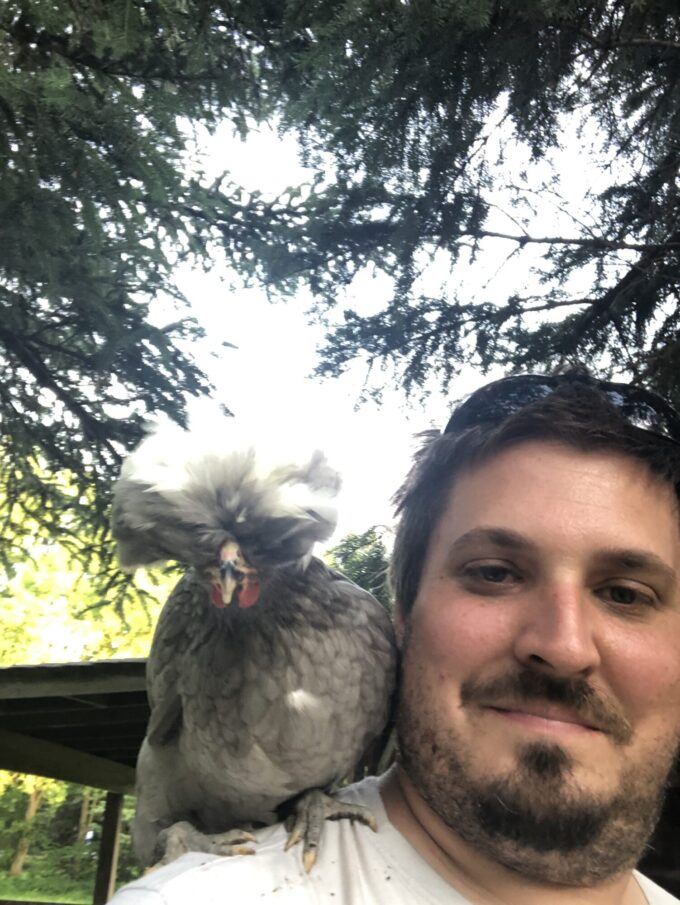 Blue Polish Chicken