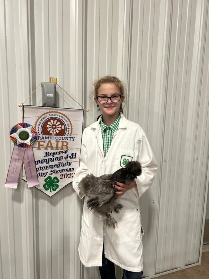 Blue Silkie Bantam