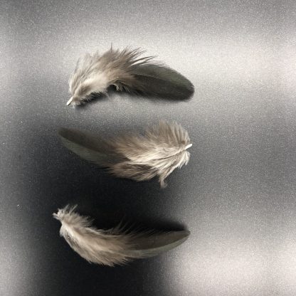 BLACK OE BANTAM FEATHERS