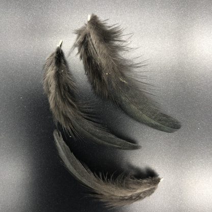 BLACK SUMATRA FEATHERS