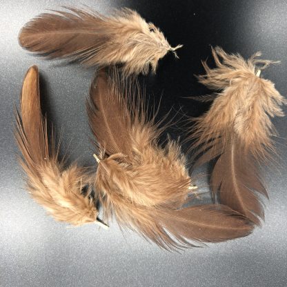 Buckeye Feathers