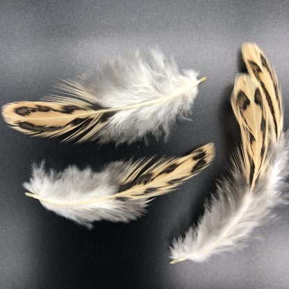 BUTTERCUP STD fEATHERS