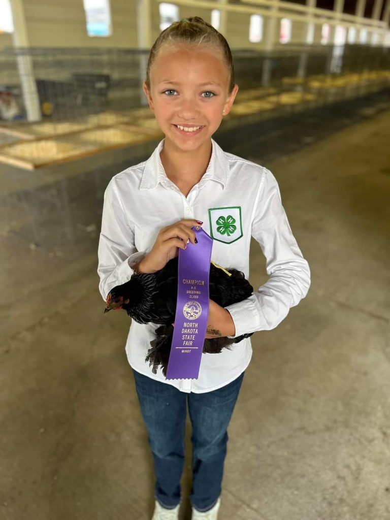 Birchen Cochin Bantam