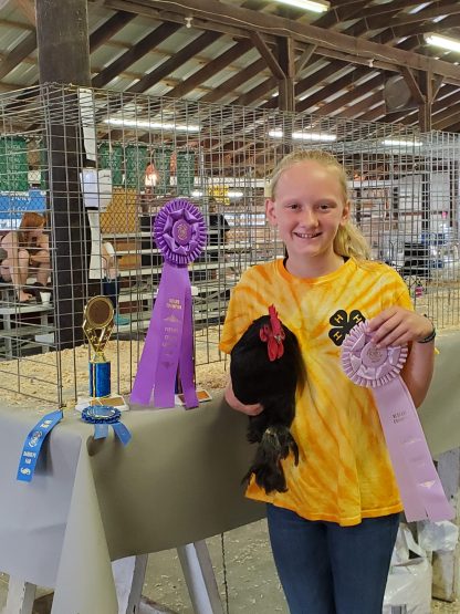 Black Cochin Bantam Credit: Amber Wheeler