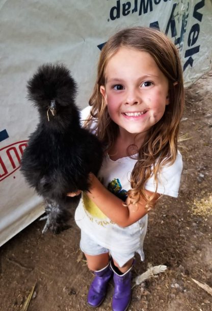 Black Silkie