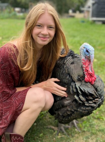Black Spanish Turkey