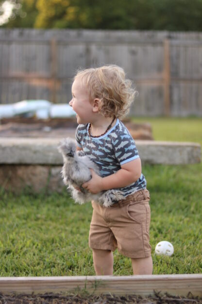 Splash Silkie Bantam