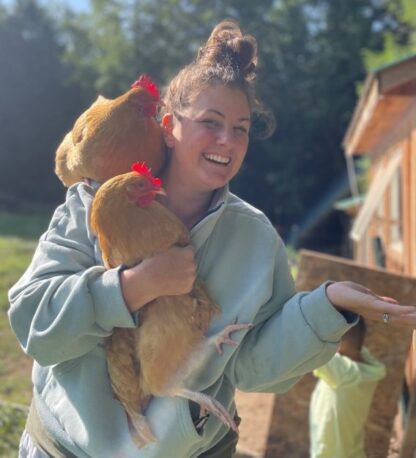 Buff Orpington Chicken