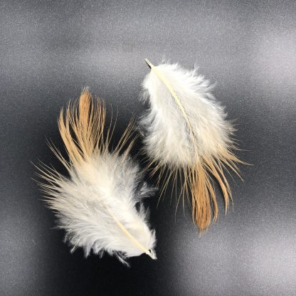 Buff Silkie Bantam feathers