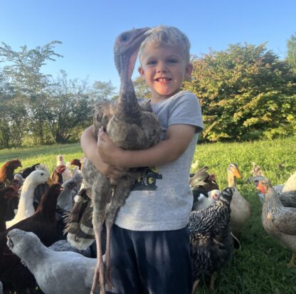 Hatchery Surprise