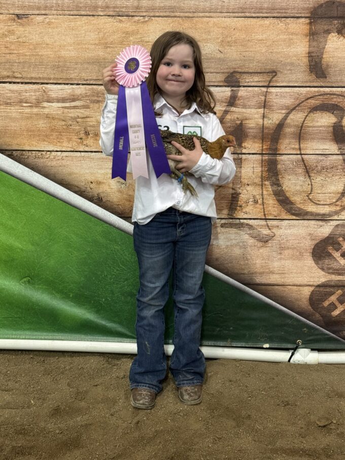 Mille Fleur d'Uccle Bantam - Image 44