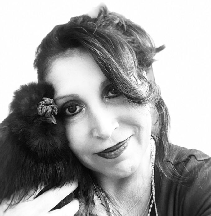 Black Silkie Bantam - Image 25