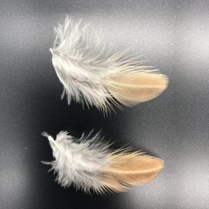 Easter Egg Bantam feathers