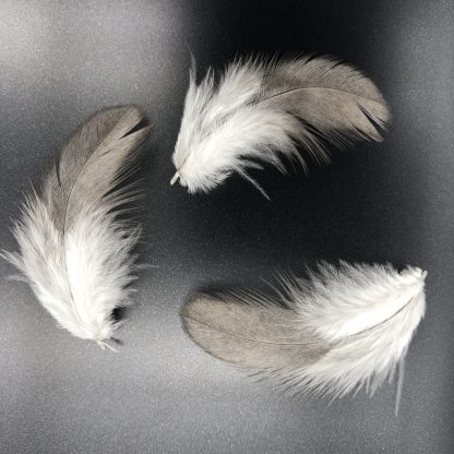 Easter Egg Bantam feathers