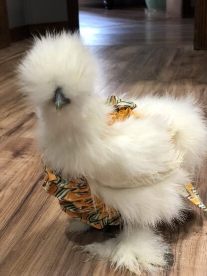 White Silkie Bantam