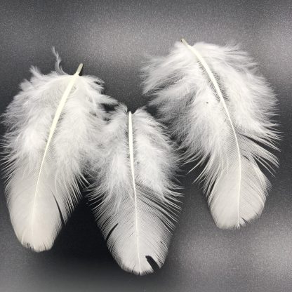 LAKENVELDER STD FEATHERS