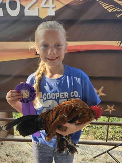 Mille Fleur d'Uccle Bantam
