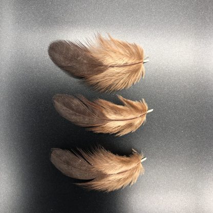 RHODE ISLAND RED BANTAM FEATHERS