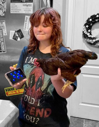 Rhode Island Red Bantam