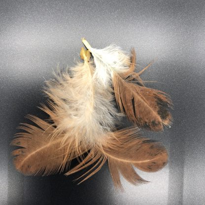 Turken Naked Neck feathers