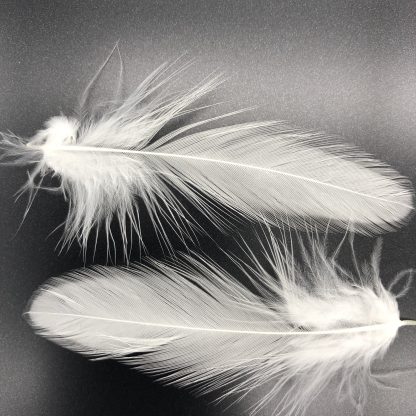 WHITE SULTAN FEATHERS